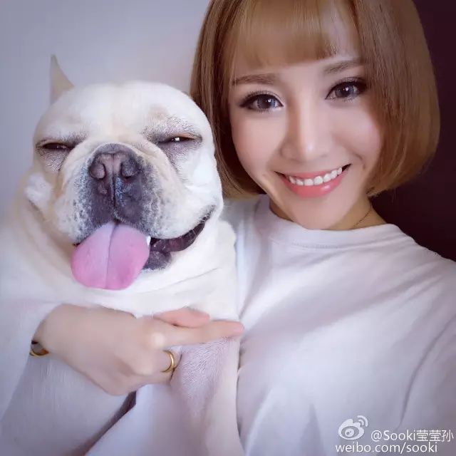 如何把m訓成狗_訓狗成功怎么發朋友圈說說_訓狗成功文案