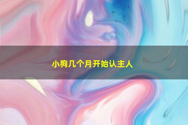 小狗幾個月開始認主人