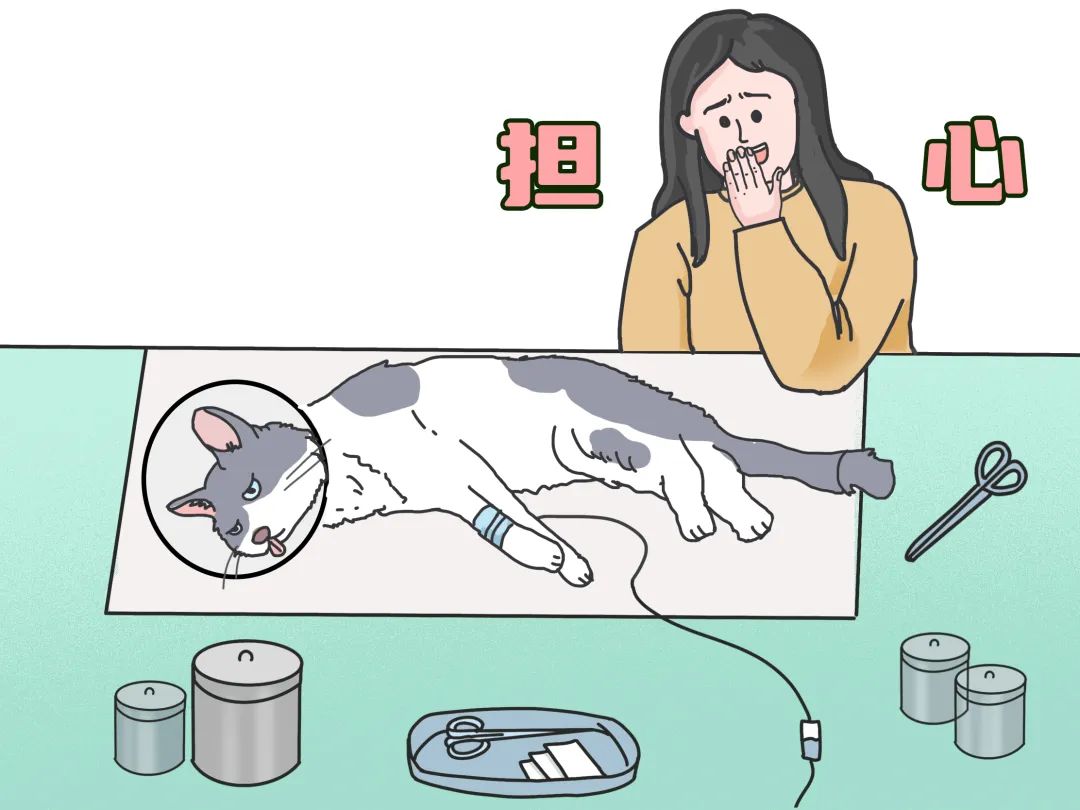 俗語(yǔ)來(lái)貓窮來(lái)狗富_古話貓來(lái)窮狗來(lái)富_貓來(lái)窮狗來(lái)富是真的嗎