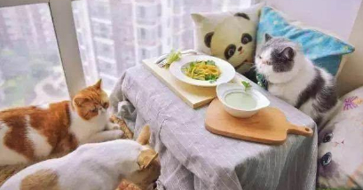 狗狗吃了雞骨頭會死嗎:狗真的不能吃雞骨頭嗎？