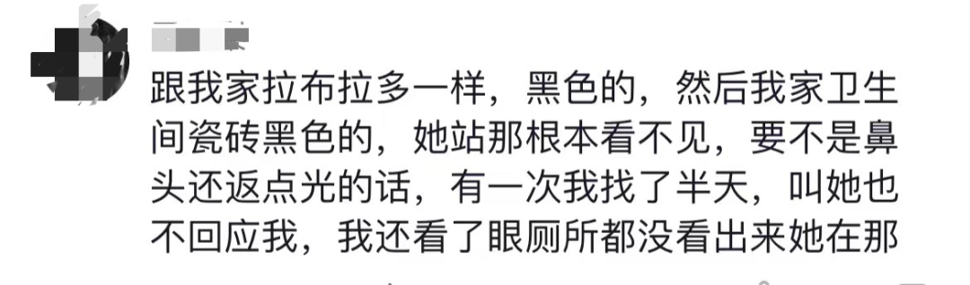 狗能看見什么顏色_狗看見顏色嗎_能狗看見顏色的圖片