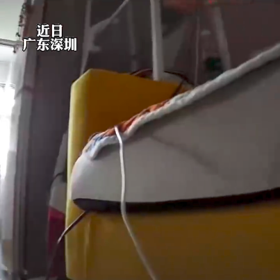 狗看見顏色嗎_狗能看見什么顏色_能狗看見顏色的圖片