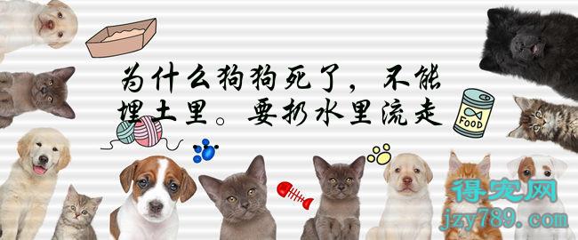 為什么狗狗死了，不能埋土里。要扔水里流走…(狗死了埋在土里會(huì)活過來嗎)