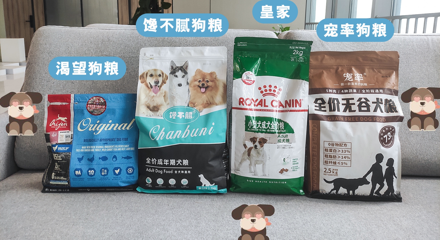 狗狗可能喝純牛奶_狗狗純牛奶可以喝嗎_狗狗可以喝純牛奶嗎?