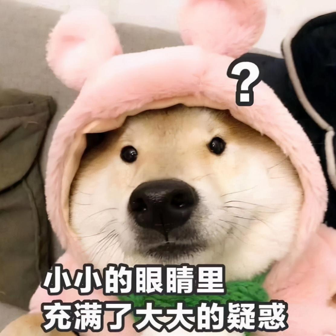 什么情況要接種狂犬病疫苗，一文讀懂