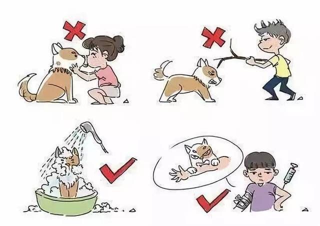打狗疫苗多久有效_狗疫苗打多久可以打狂犬_狗咬傷后多長(zhǎng)時(shí)間打狂犬疫苗