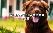 82年屬狗2024年運勢完整版 82年屬狗的2024年怎么樣