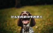 什么生肖是18年的貴人 