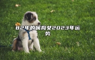 82年的屬狗女2023年運勢 82年屬狗女2023年運勢及運程