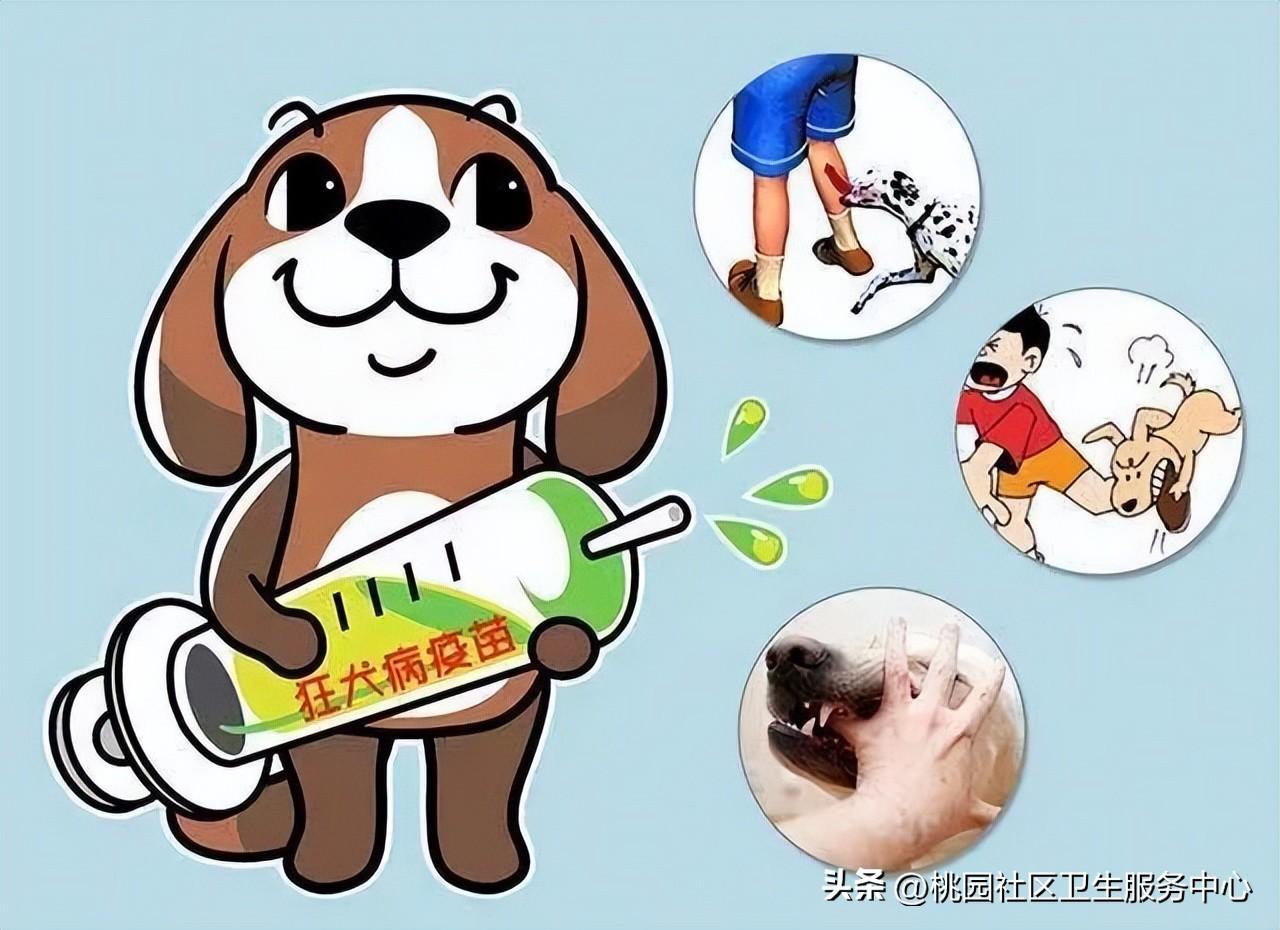 狂犬病疫苗，要不要打？怎么打？