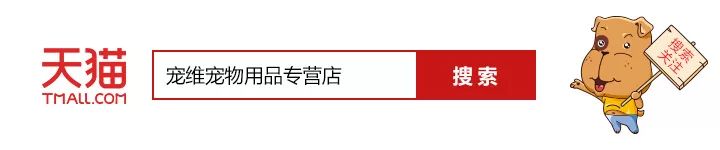 狗狗懷孕生產真的需要送醫院嗎？
