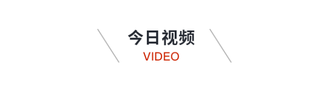 小狗懷孕多久生出來(lái)_小狗懷孕多長(zhǎng)時(shí)間生狗寶寶_小狗懷孕到孕產(chǎn)期多久