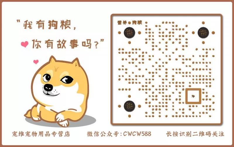 小狗懷孕到孕產(chǎn)期多久_小狗懷孕多久生出來(lái)_小狗懷孕多長(zhǎng)時(shí)間生狗寶寶