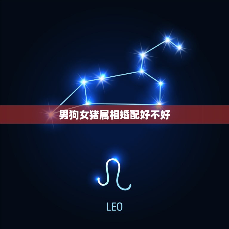男狗女豬屬相婚配好不好，男屬狗和女屬豬的配嗎