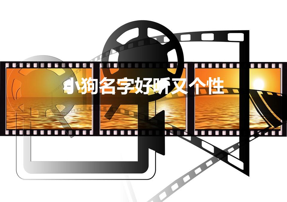 小狗名字好聽又個性（小狗名字好聽又個性公)
