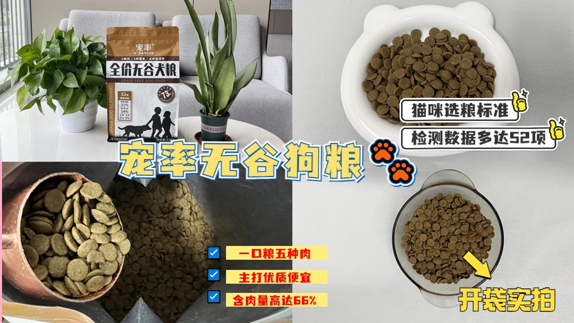 狗狗新手養(yǎng)好還是養(yǎng)好_十大新手最好養(yǎng)的狗狗_新手養(yǎng)狗養(yǎng)什么