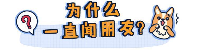 狗狗能不能看見顏色_狗狗能看到什么顏色_狗狗可以看見顏色