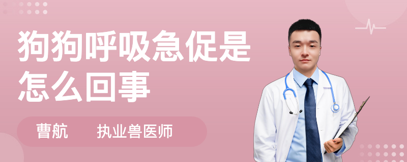 狗狗呼吸急促是怎么回事