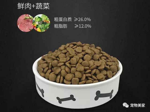 哪些狗適合家養(yǎng)_養(yǎng)什么狗好 適合家養(yǎng)_串串狗適合家養(yǎng)嗎