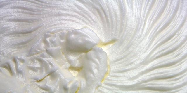 狗能吃奶油嗎_狗吃奶油沒事吧_狗吃奶油蛋糕會(huì)怎么樣