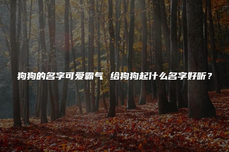 狗狗的名字可愛霸氣 給狗狗起什么名字好聽？
