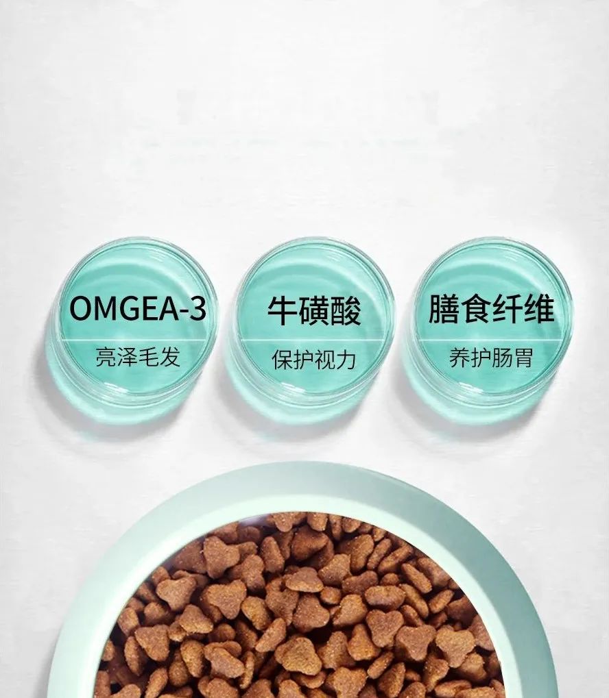 養(yǎng)貓狗的好處_養(yǎng)貓狗有什么講究_養(yǎng)貓好還是養(yǎng)狗更好