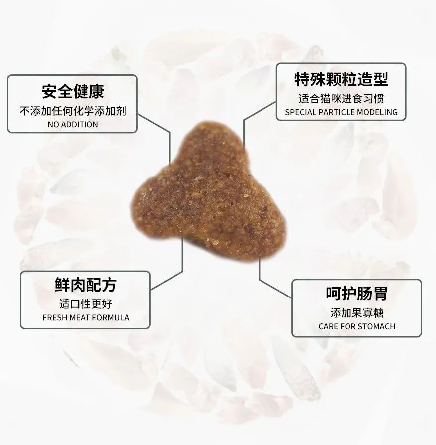 養(yǎng)貓好還是養(yǎng)狗更好_養(yǎng)貓狗有什么講究_養(yǎng)貓狗的好處