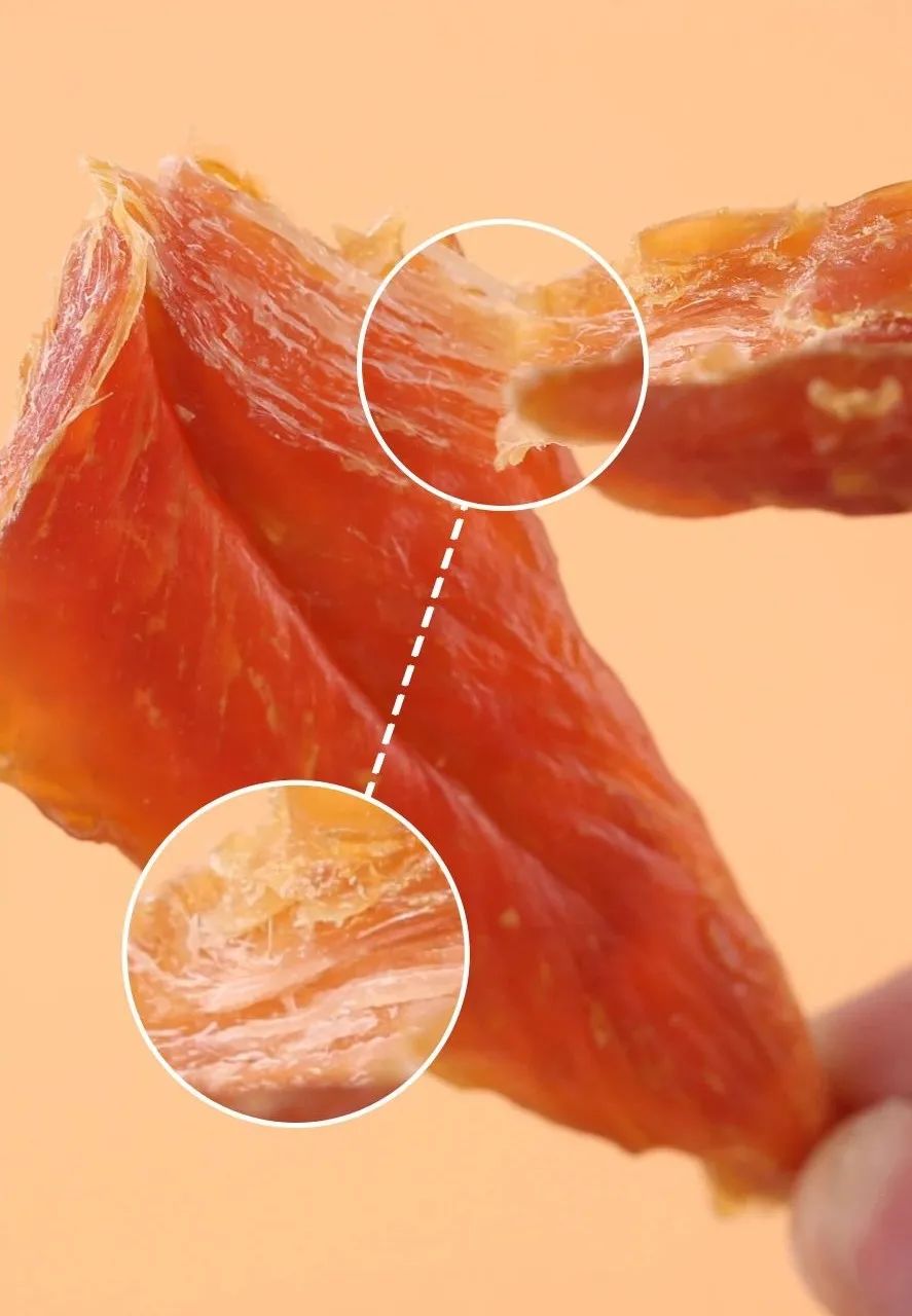 養(yǎng)貓狗的好處_養(yǎng)貓好還是養(yǎng)狗更好_養(yǎng)貓狗有什么講究