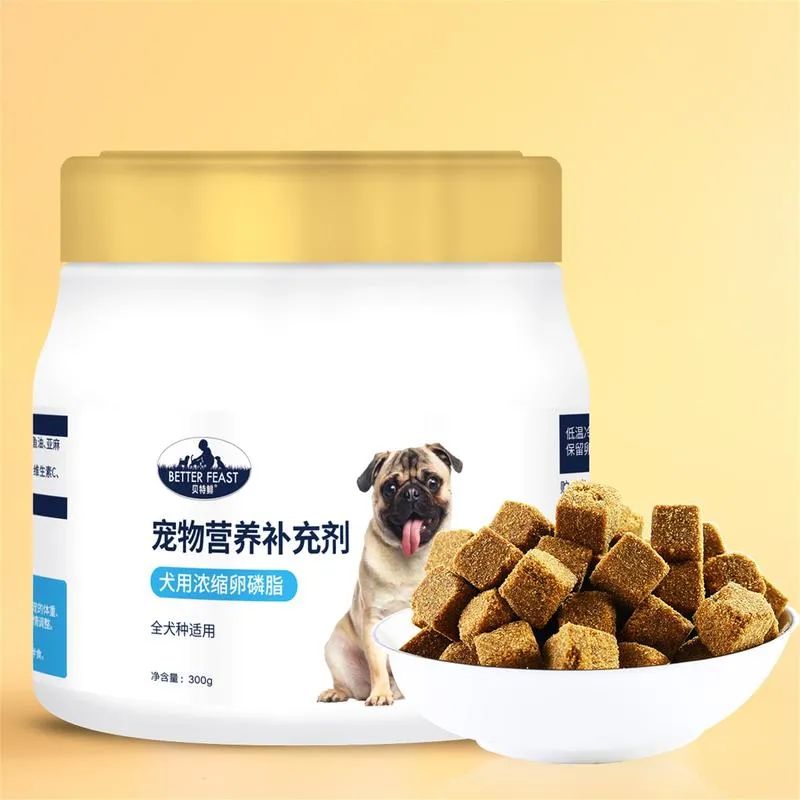 養(yǎng)貓狗有什么講究_養(yǎng)貓好還是養(yǎng)狗更好_養(yǎng)貓狗的好處
