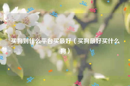 買狗到什么平臺(tái)買最好（買狗最好買什么狗）