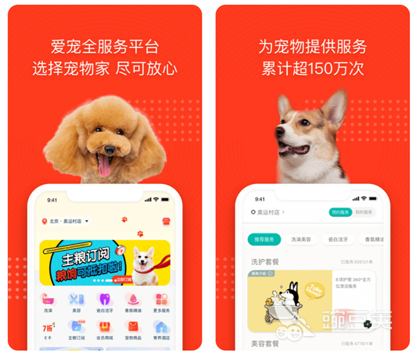 有什么專門購(gòu)買寵物的app 寵物買賣軟件排行