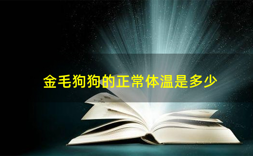 金毛狗狗的正常體溫是多少
