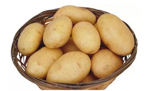 狗狗不能吃的六種蔬菜，你喂食過幾種？