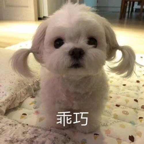 狗狗有這6種行為，恭喜你，它是來“報恩”的