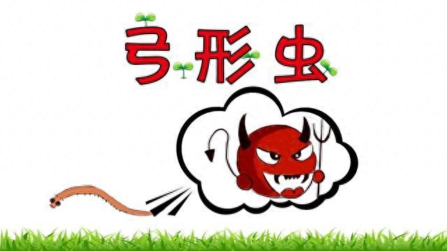 辟謠：孕婦可以和寵物一起生活嗎？
