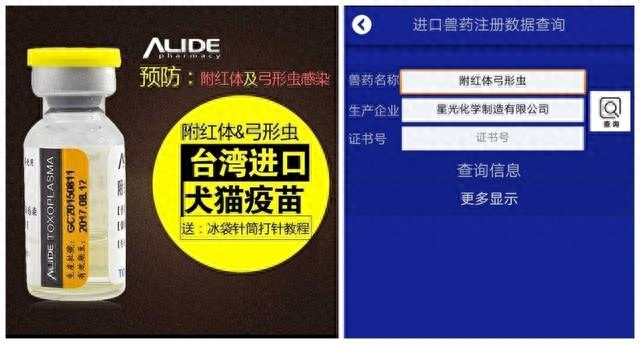 孕婦養(yǎng)狗可以嘛_孕婦養(yǎng)狗可以不驅(qū)蟲嗎_孕婦可以養(yǎng)狗嗎