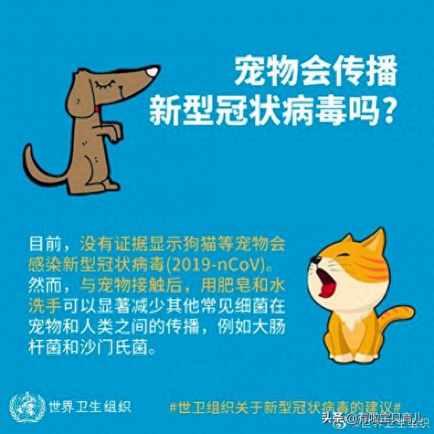 疫情期間，有孕婦或寶寶的家庭不能養寵物？