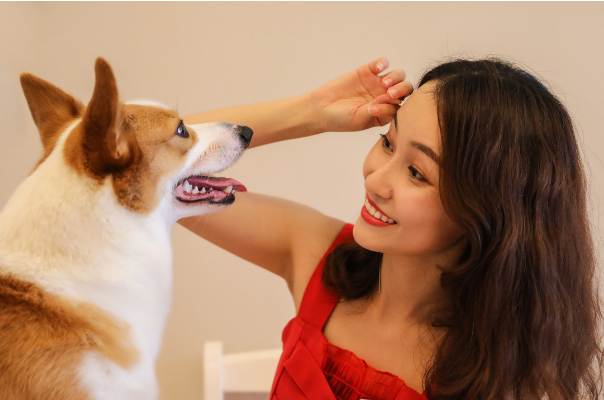 狗狗能說話聽懂嗎_和狗狗天天說話能聽懂嗎_狗狗聽得懂說話嗎