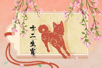 82屬狗男和87屬兔女的怎么樣 生活和睦上等婚配