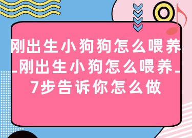剛出生小狗狗怎么喂養