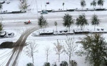 開車撞到狗有什么兆頭？車撞到狗有什么吉兇忌諱