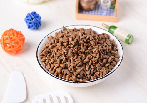 喂食幼犬沒有狗糧_幼犬怎么喂食_喂食幼犬時被輕咬