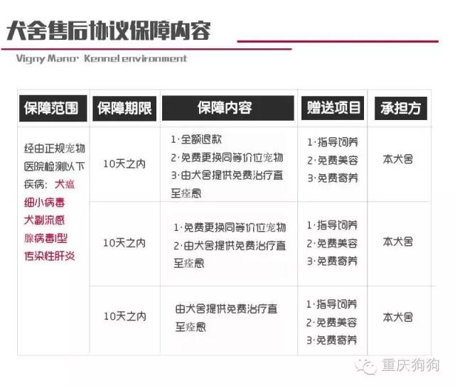 比熊犬價格_比熊價格2021_寵物比熊價格