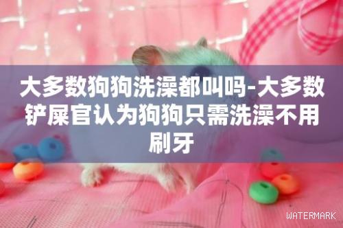 大多數狗狗洗澡都叫嗎-大多數鏟屎官認為狗狗只需洗澡不用刷牙
