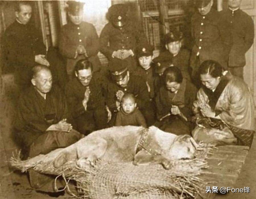 忠犬八公電影是哪個(gè)國(guó)家的_電影忠犬八公國(guó)家是哪年拍的_忠犬八公是哪個(gè)國(guó)家的電影