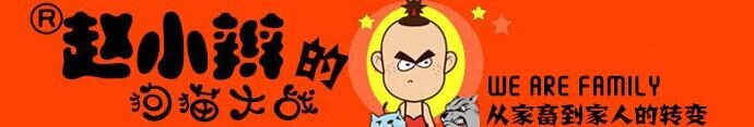 德牧幼犬喂食_德牧幼崽喂養_德牧幼犬喂養正確方法