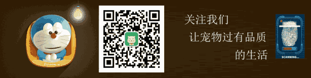 狗狗出現(xiàn)什么癥狀說明要生了_狗狗即將生產(chǎn)癥狀_狗狗要生了有什么反常