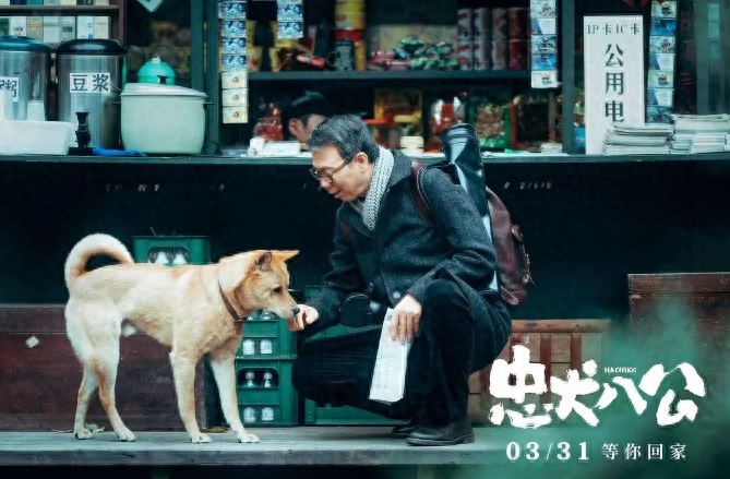 美國(guó)電影忠犬八公的故事_忠犬八公電影是哪個(gè)國(guó)家的_忠犬八公是哪個(gè)國(guó)家的電影