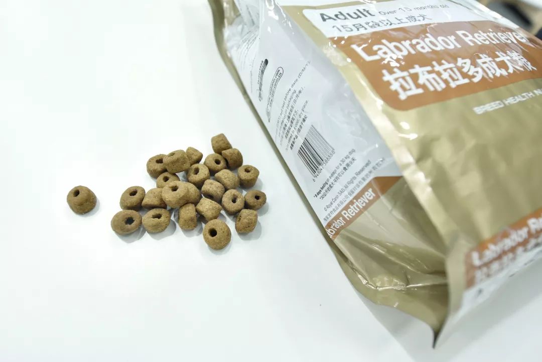 拉布拉多和金毛哪個好_金毛拉布拉多好養活嗎_金毛拉布拉多好養嗎