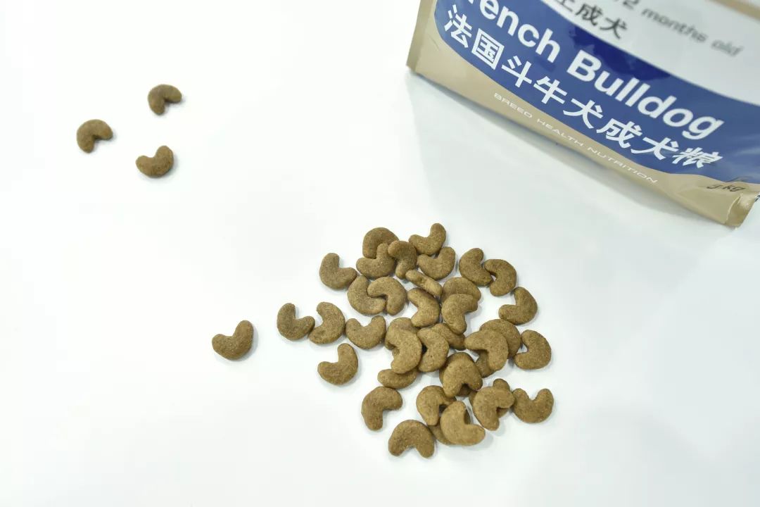 拉布拉多和金毛哪個好_金毛拉布拉多好養嗎_金毛拉布拉多好養活嗎